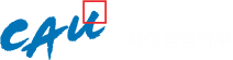 중앙대학교 지식경영학부